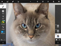 Сенсорный Photoshop вышел на iPad