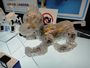 Робособака i-SODOG откликается на команды со смартфона