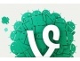 Появилось приложение Vine для Android-устройств