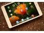 Apple к осени выпустит новый iPad mini с Retina-дисплеем