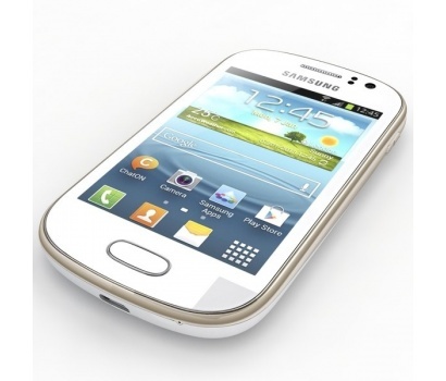 Samsung Galaxy Young S6310