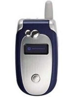 Motorola V555
