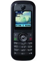 Motorola W205